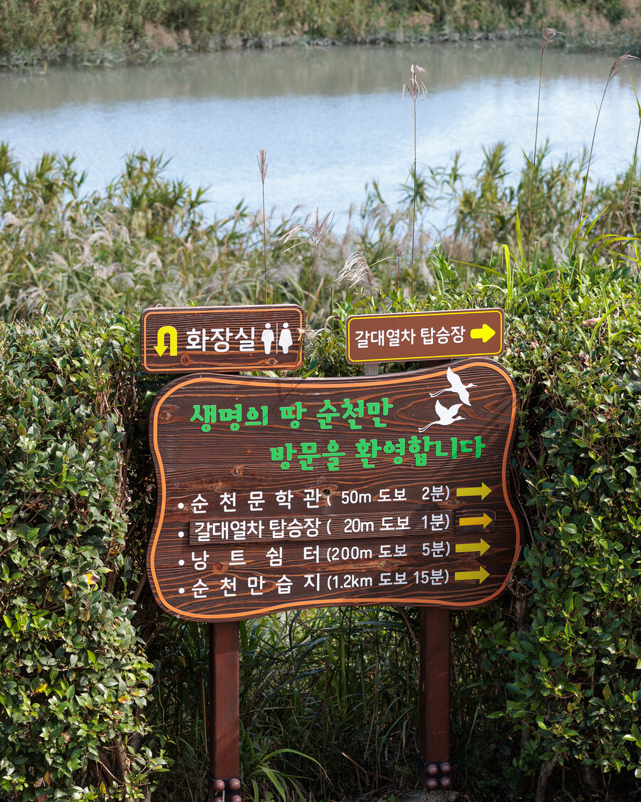 순천만습지_3.jpg