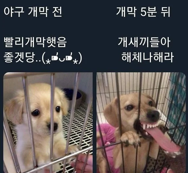 롤)짤만 올려두고 경기는 보지말아야지.._1.webp