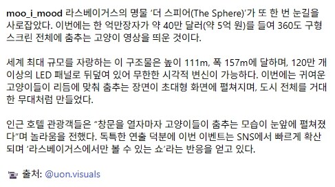 라스베이거스 전체를 흔든 고양이 쇼_3.jpg