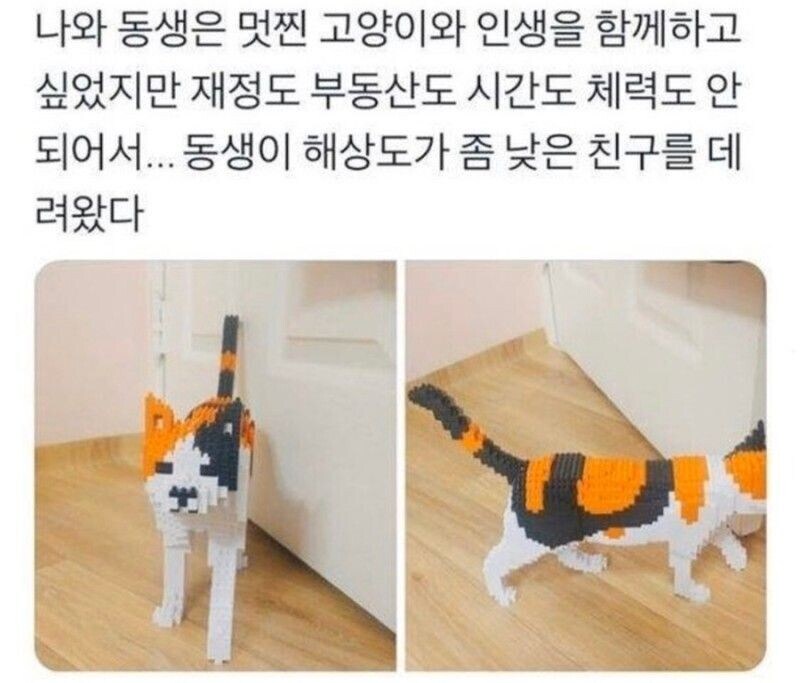 동생이 어디선가 수상한 고양이를 데려왔다_1.jpg