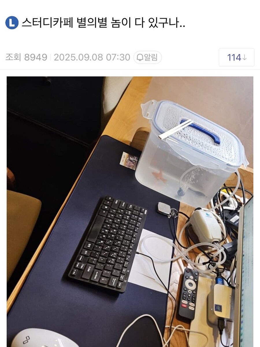 스터디카페 별의별 놈이 다 있구나...jpg_1.jpg