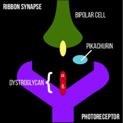의외로 이름값 못하는 신체 기관_4.png