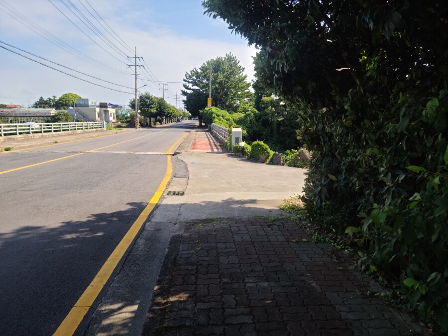 제주 환상 자전거길 234km 도보여행 4일차 -스압주의-_39.jpg