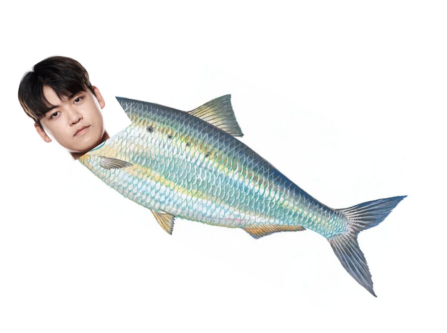 롤)역시 가을하면 전어유시지!!!!_1.png