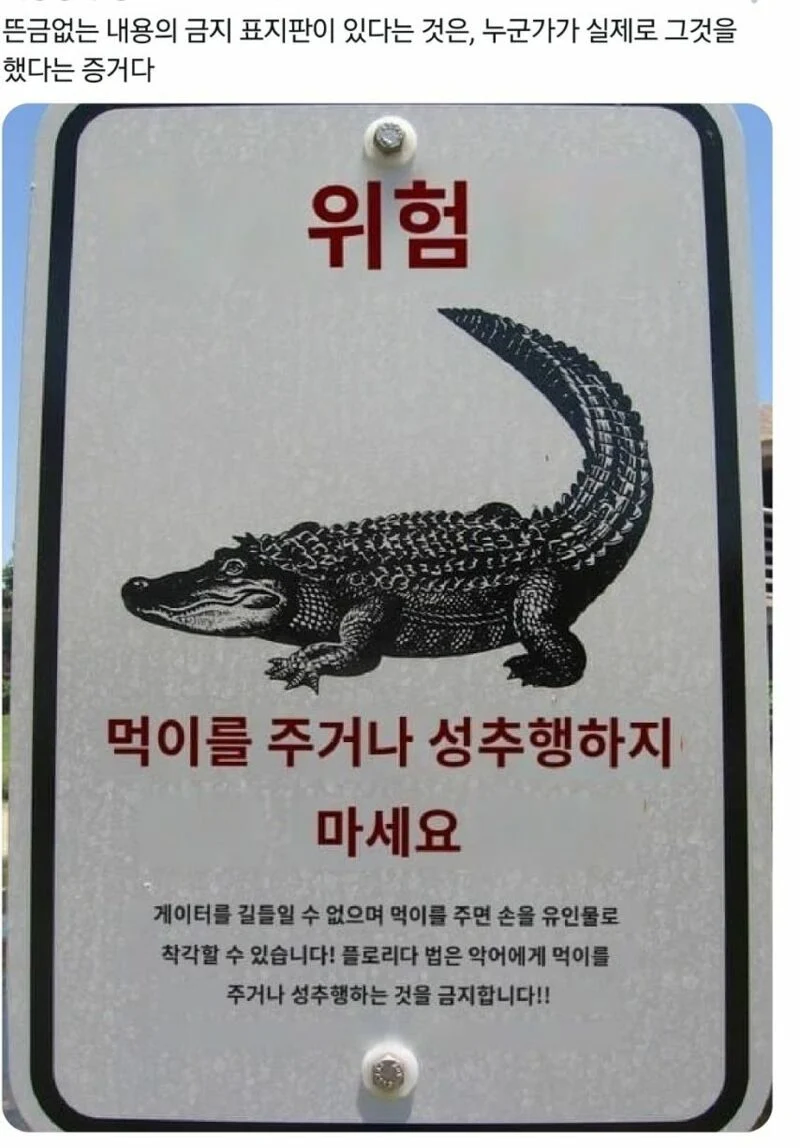 플로리다 물강아지_1.webp