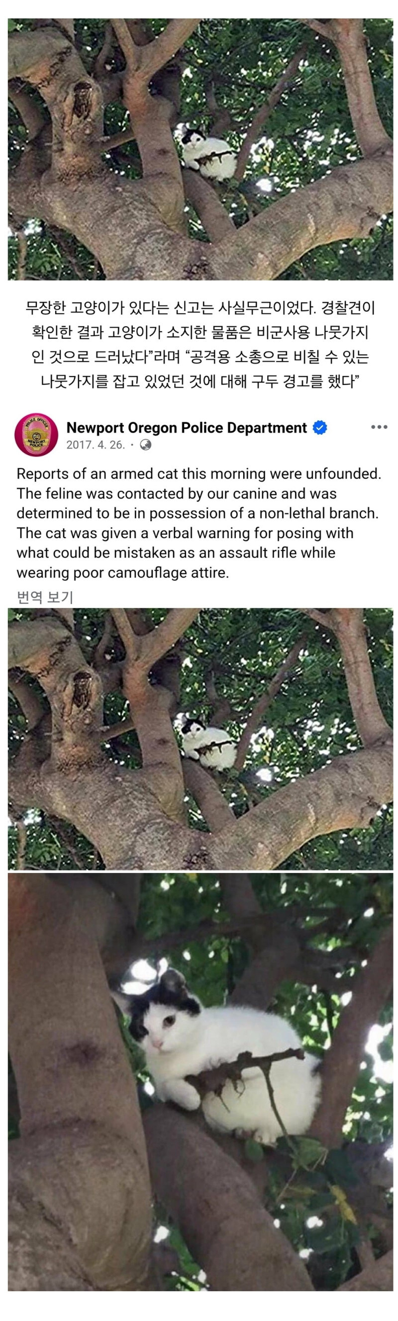 돌격소총을 든 고양이_1.jpg