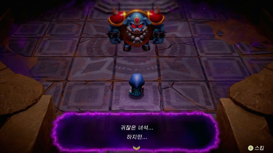 젤다의 전설 지혜의 투영_5.png