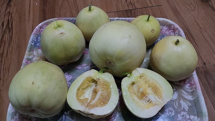 유게이는 모르는 과일_1.jpg