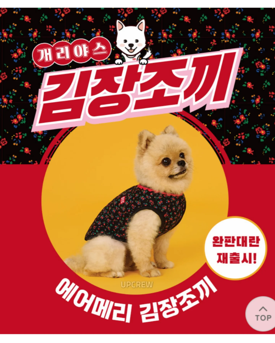 BYC)멍멍이 김장룩_1.webp
