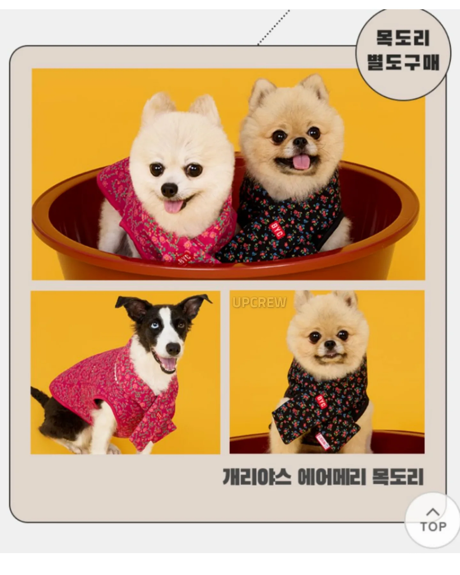 BYC)멍멍이 김장룩_9.webp