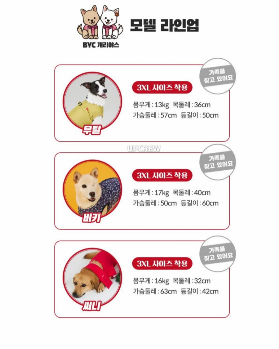 BYC)멍멍이 김장룩_11.webp
