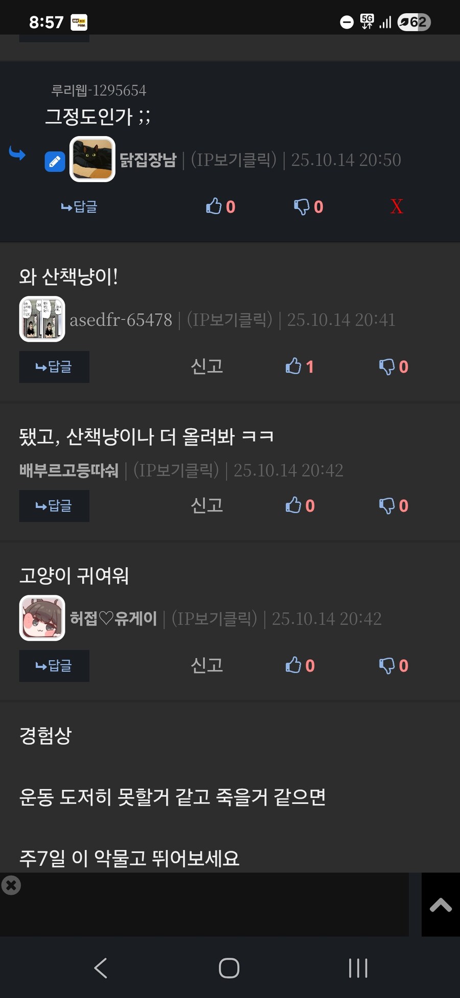 인기없는 검은 똥괭이 산책_1.jpg