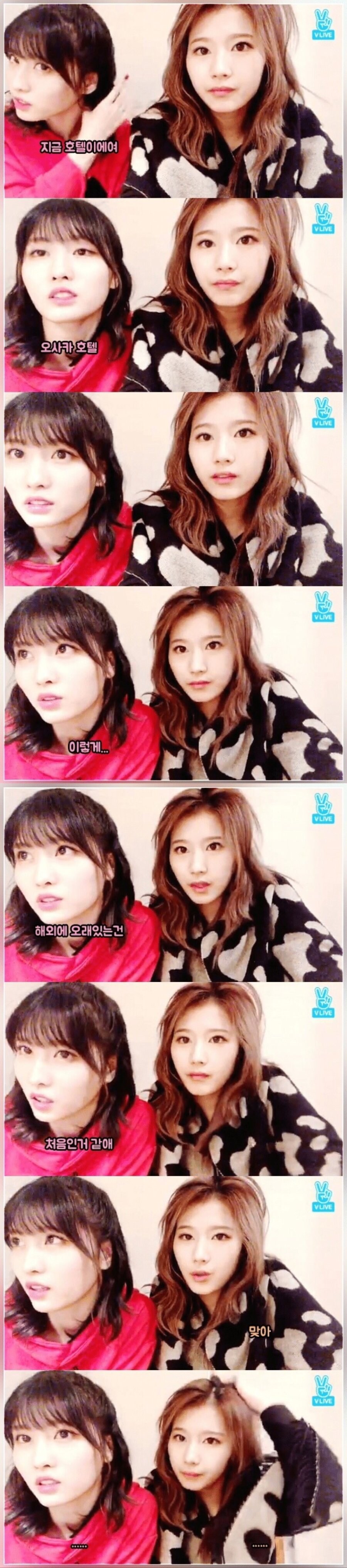 나 이렇게 외국(?)에 오래 나와 있긴 처음이야.jpg_1.jpg