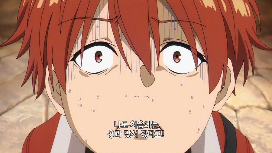 프리렌) 사기꾼을 사기꾼이라 의심조차 하지 않은 이유_2.jpg