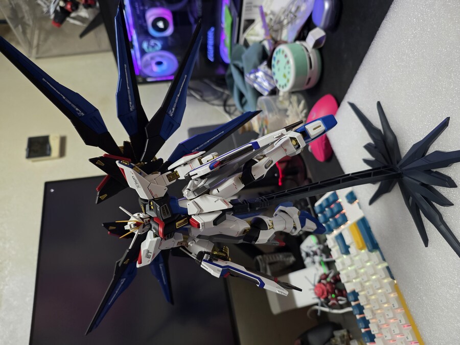 MG 스트라이크 프리덤 구판._11.jpg