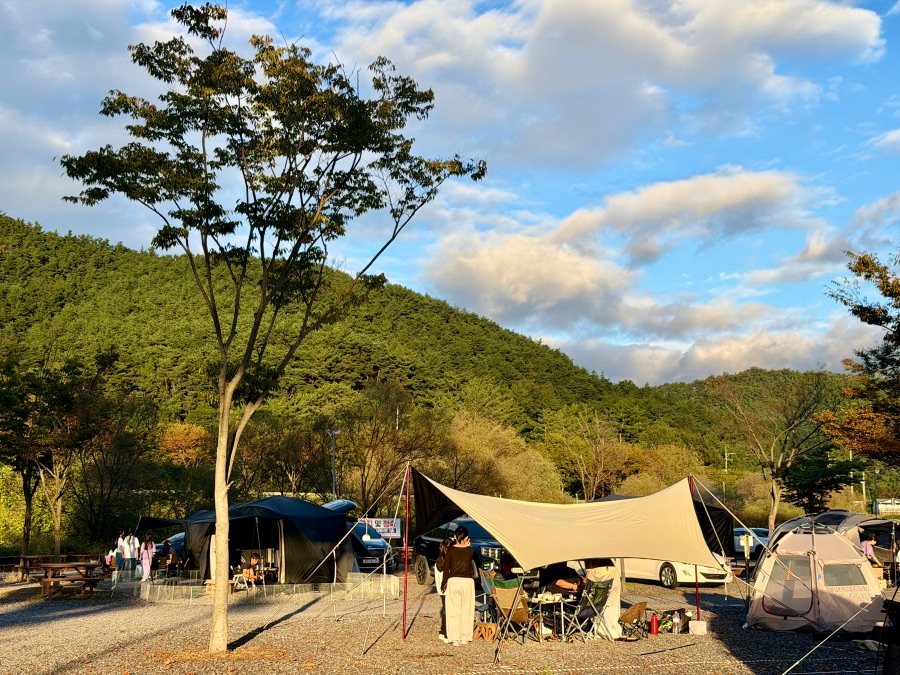 달성군 구지오토캠핑장_7.jpeg