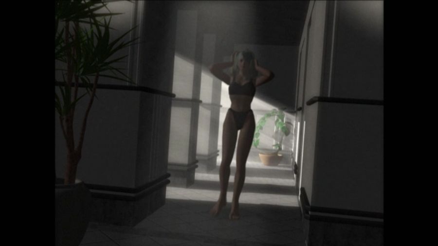DEAD OR ALIVE 3_29.jpg