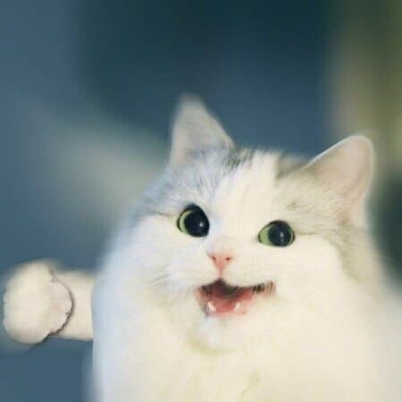 추탭갈)나는 솔직히 맹목적인 혐중은 싫은데_1.jpg