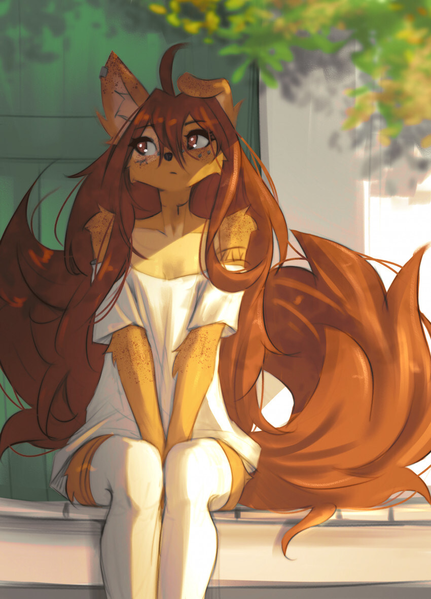 모닝의 퍼리퍼리야_3.jpg