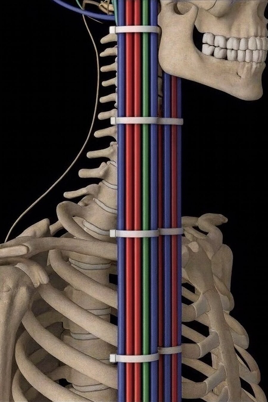 친구들은 나에게 왜 에반게리온을 안 봤냐고 물어보았다_1.jpg