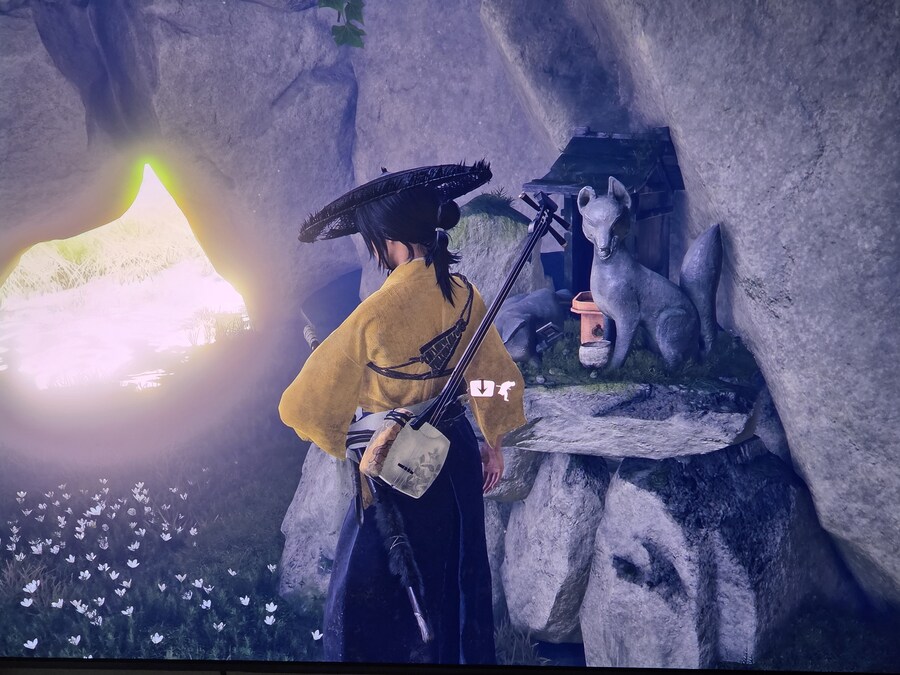 여우동굴 질문 있습니다_1.jpg