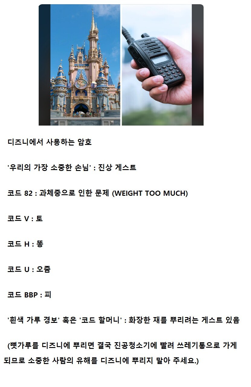 디즈니 직원들이 사용한다는 암호_1.jpg
