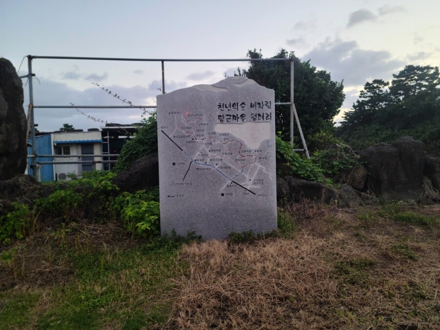 제주 환상 자전거길 234km 도보여행 6일차 完 -스압주의-_10.jpg