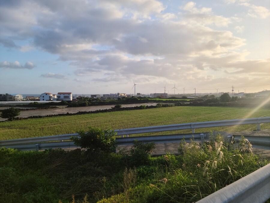 제주 환상 자전거길 234km 도보여행 6일차 完 -스압주의-_26.jpg