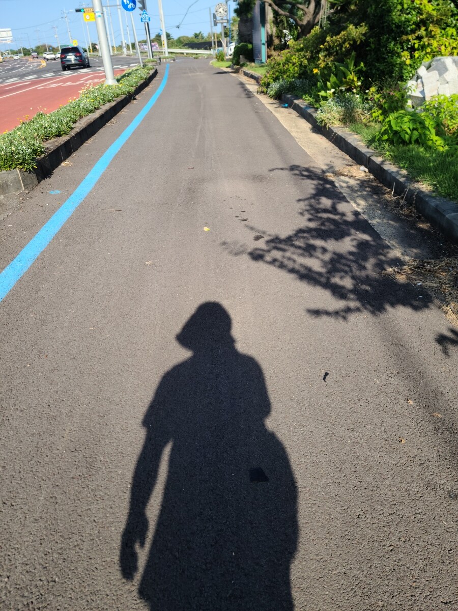 제주 환상 자전거길 234km 도보여행 6일차 完 -스압주의-_37.jpg