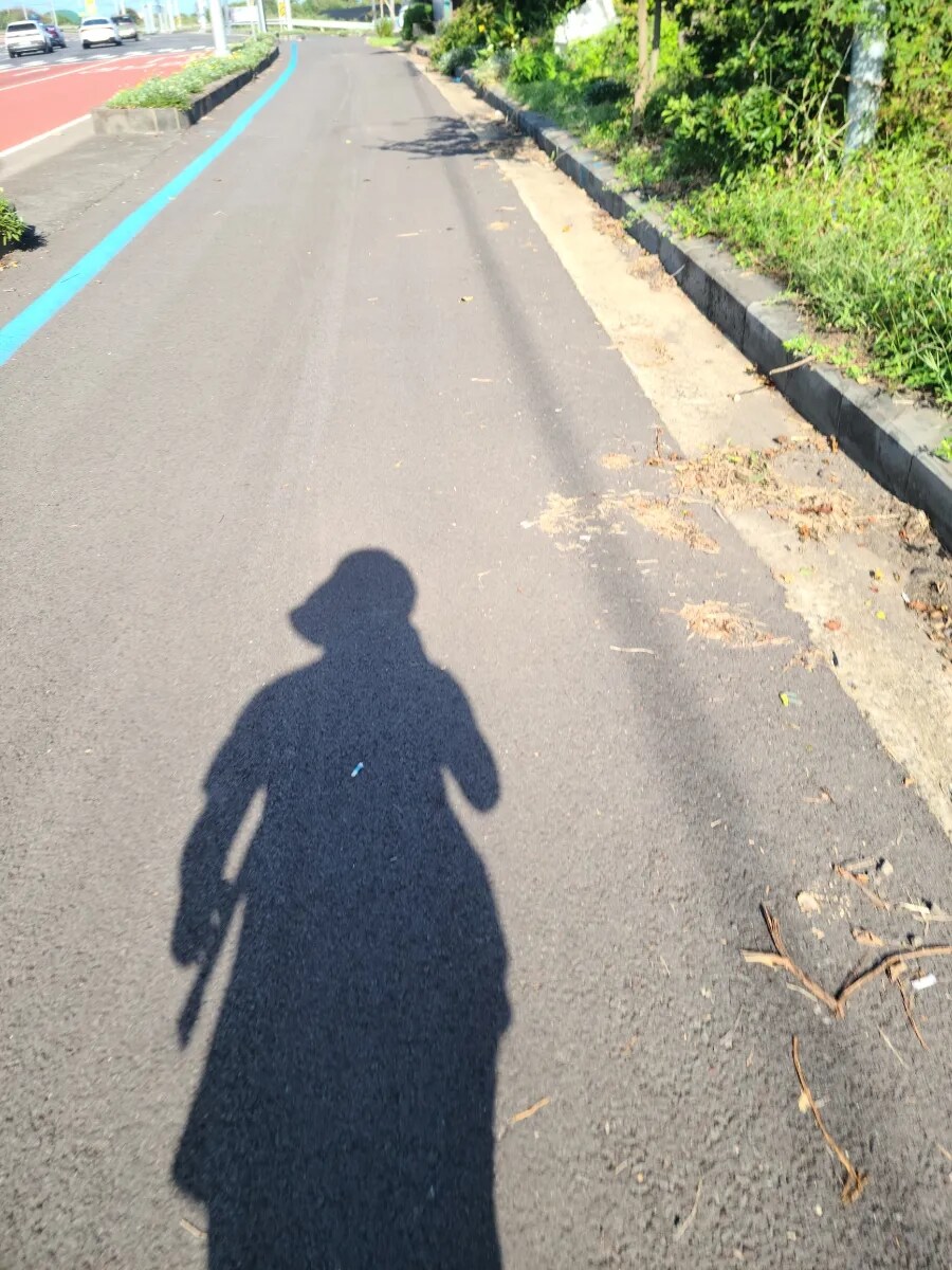 제주 환상 자전거길 234km 도보여행 6일차 完 -스압주의-_66.jpg