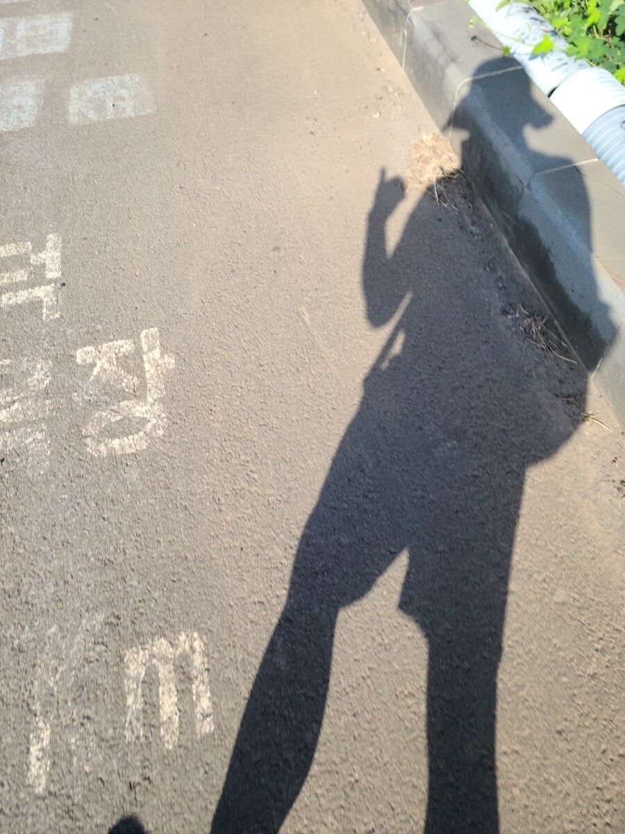 제주 환상 자전거길 234km 도보여행 6일차 完 -스압주의-_68.jpg
