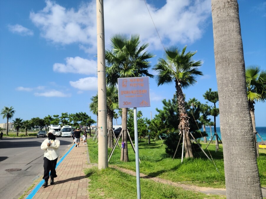 제주 환상 자전거길 234km 도보여행 6일차 完 -스압주의-_95.jpg