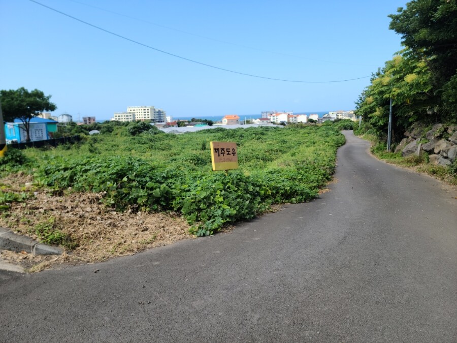 제주 환상 자전거길 234km 도보여행 6일차 完 -스압주의-_112.jpg