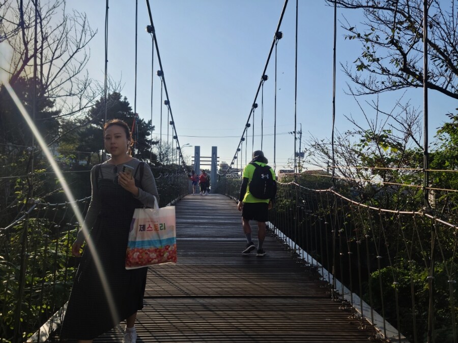 제주 환상 자전거길 234km 도보여행 6일차 完 -스압주의-_137.jpg