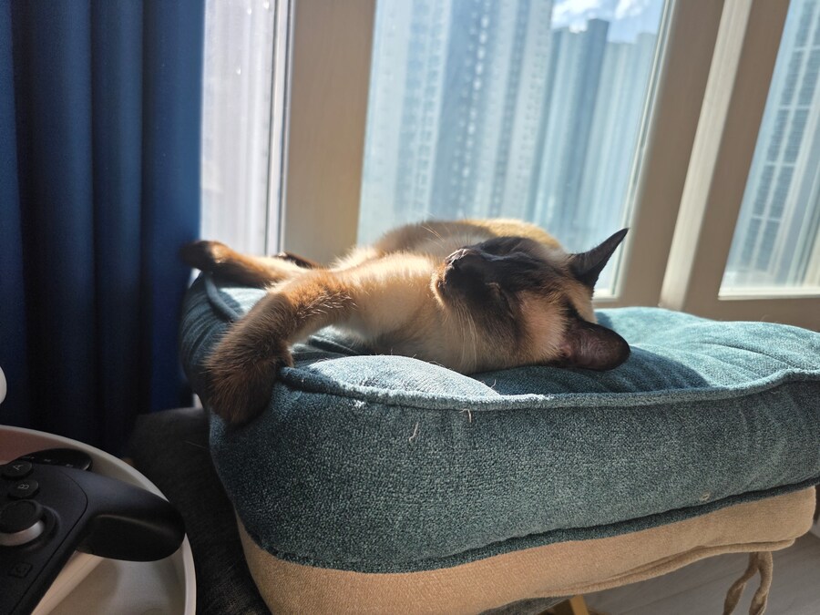 (혼자사는) 25평 아파트 입주 8개월차 (스압)_2.jpg