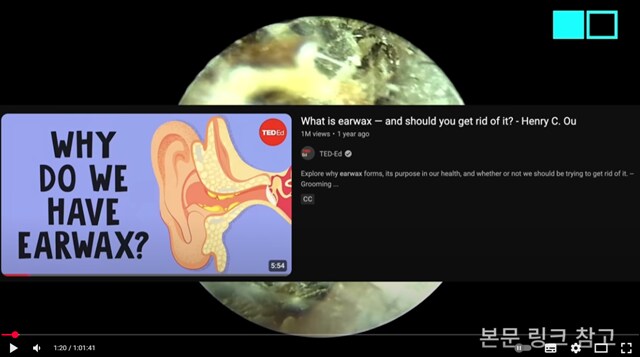 혐) 공부하다가 탄 유튜브 알고리즘_3.png