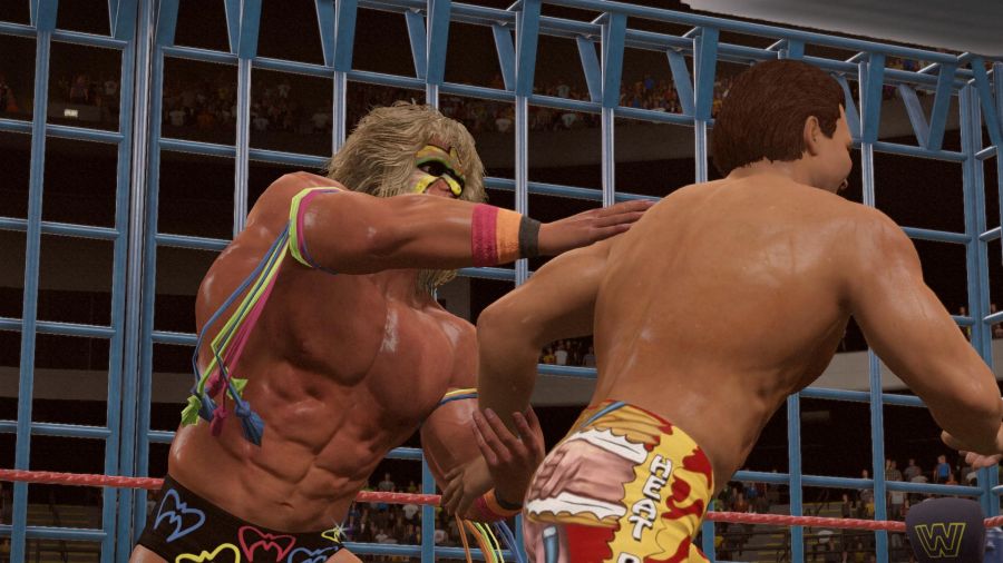 WWE 2K15_16.jpg