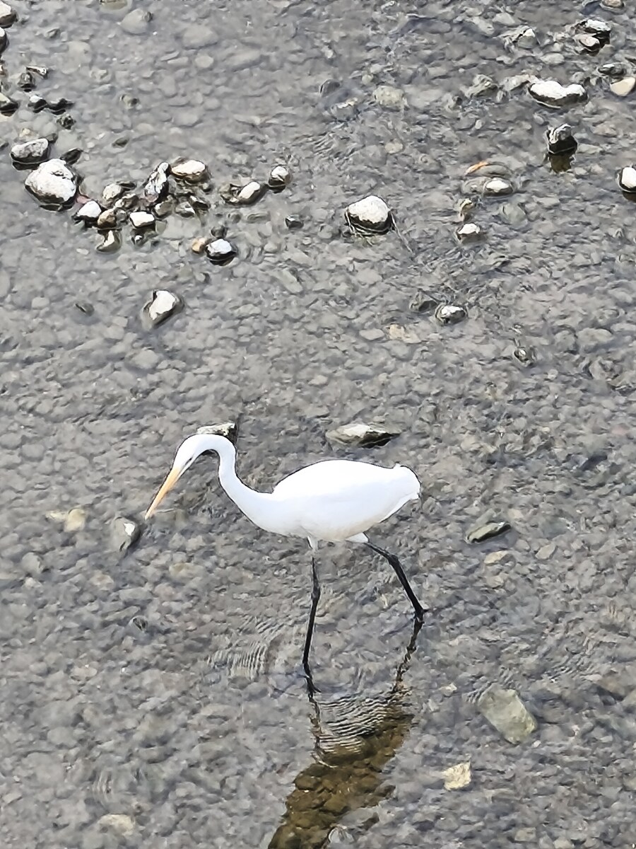 교토 오사카 여행 1_15.jpg