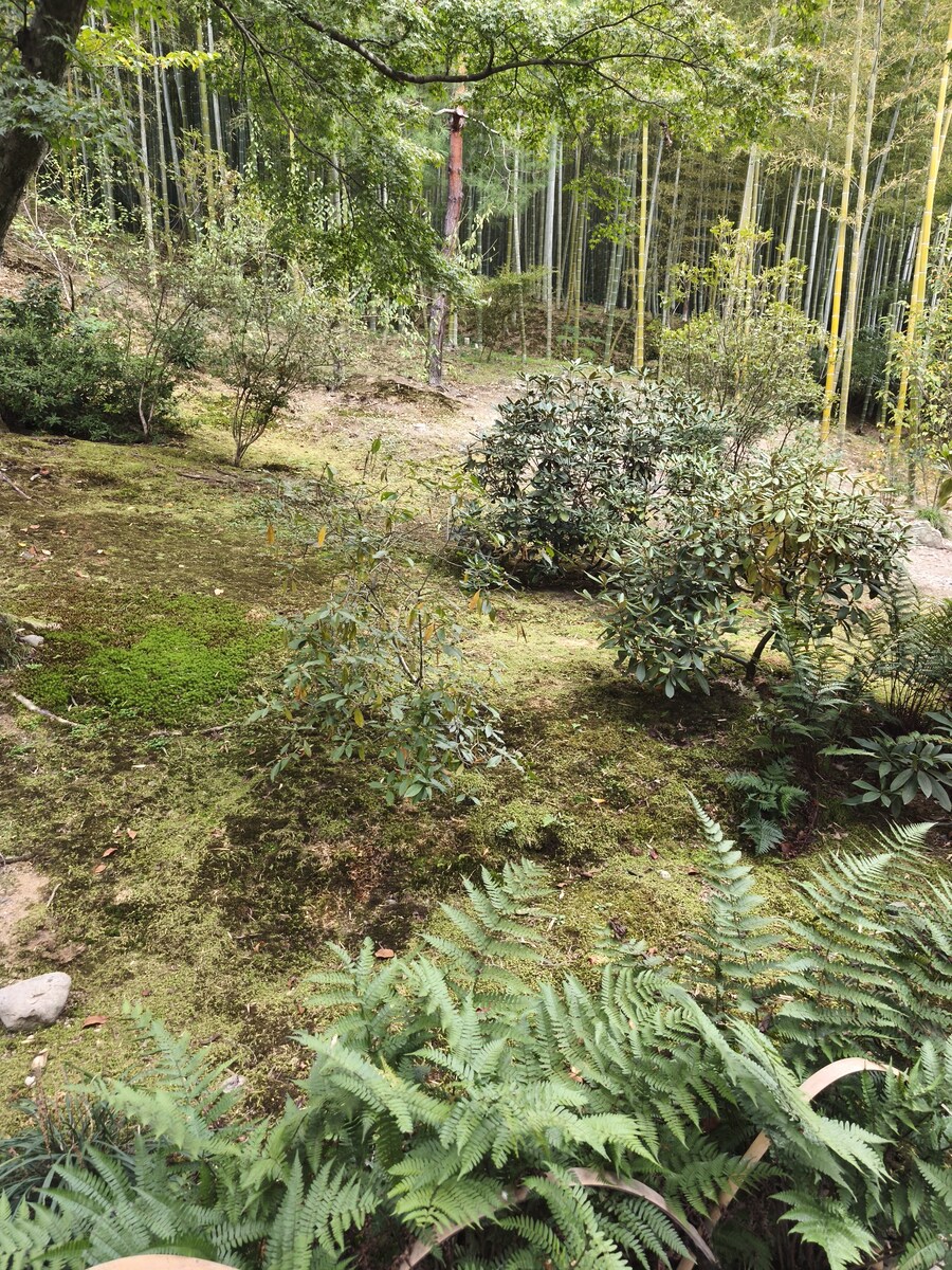 교토 오사카 여행 1_33.jpg