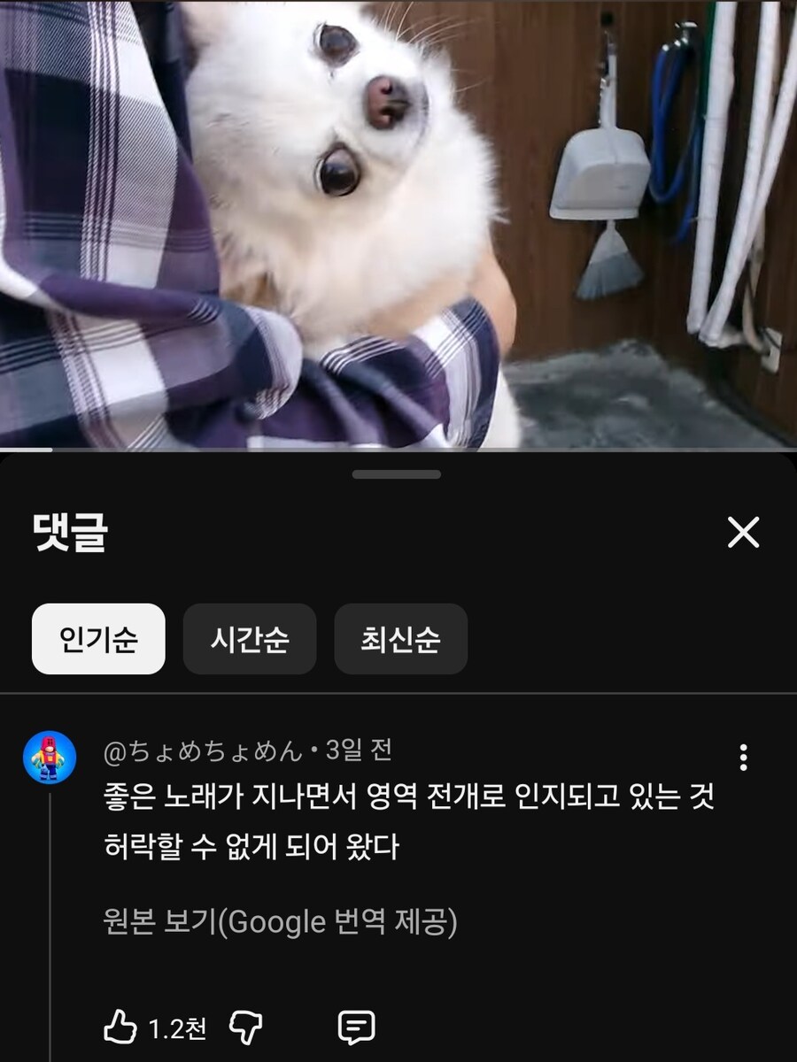 짱구)곤약인간 애니에서 모두 인정하는 것_1.jpg