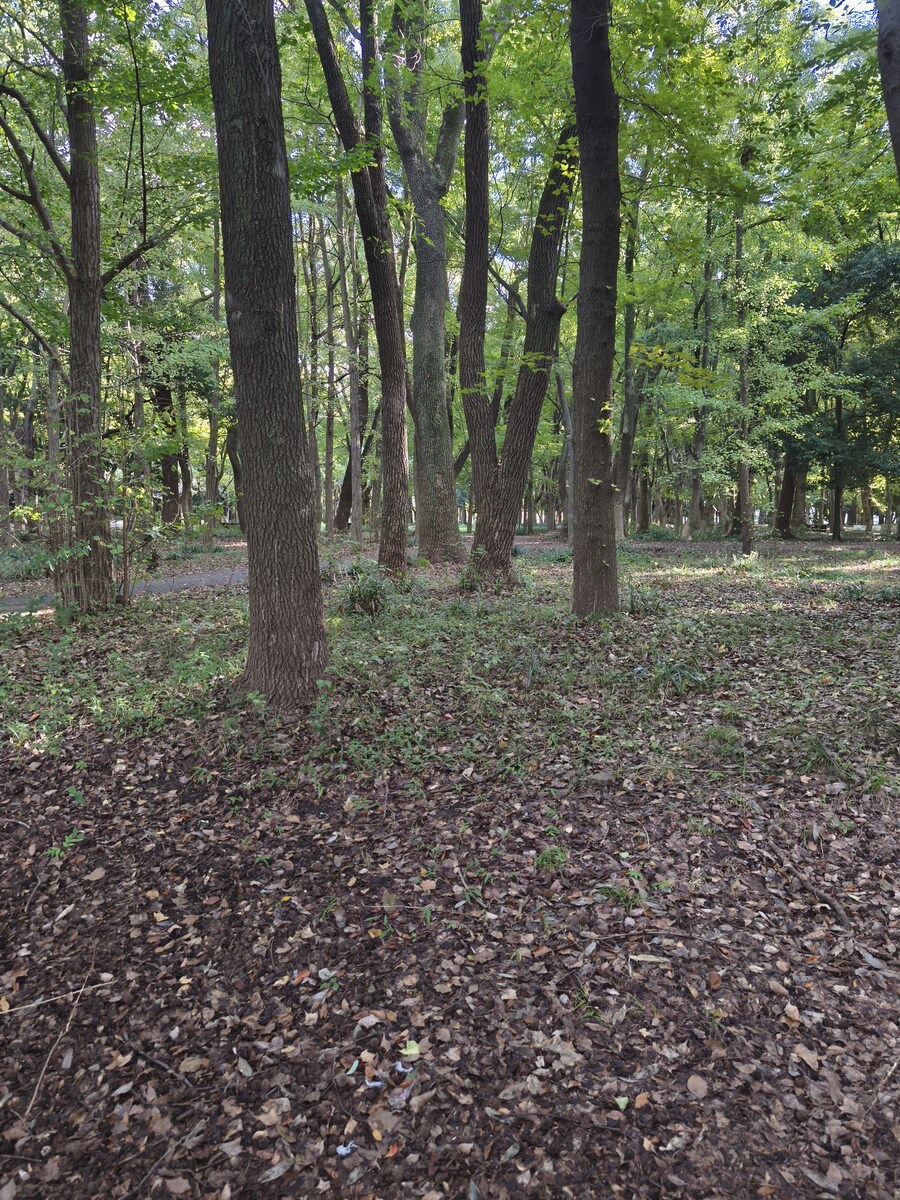 오사카 여행 2_10.jpg