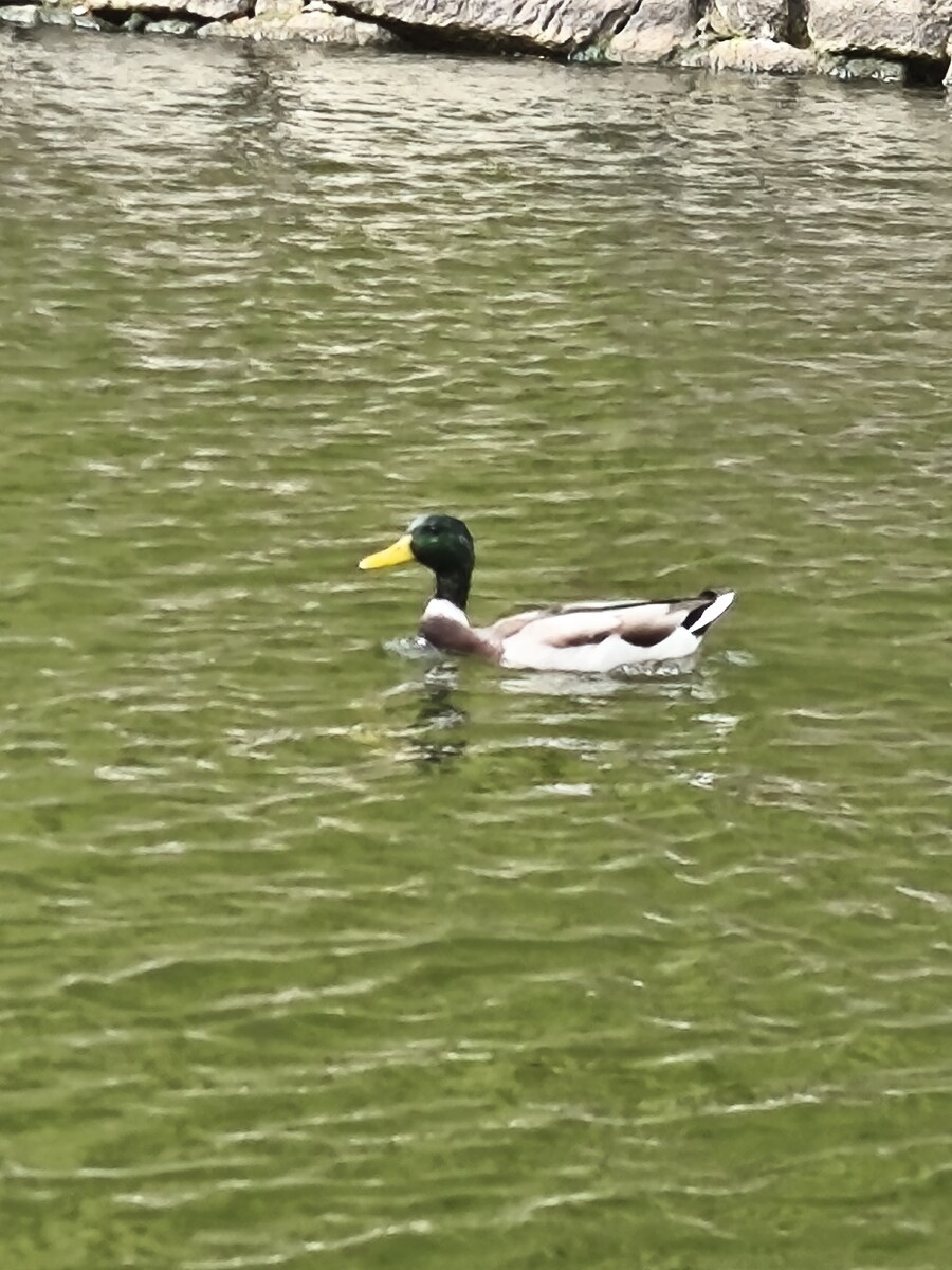 오사카 여행 3_8.jpg