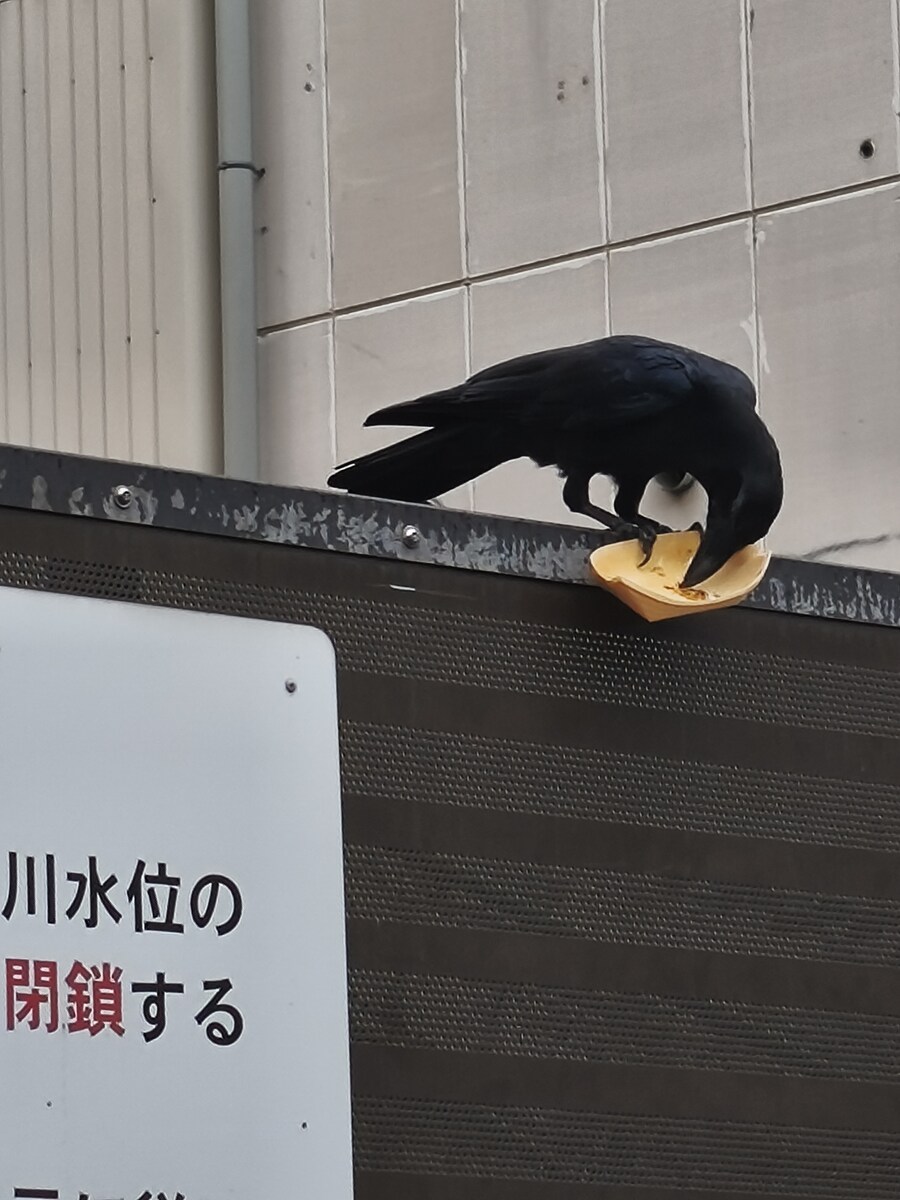 오사카 여행 3_92.jpg