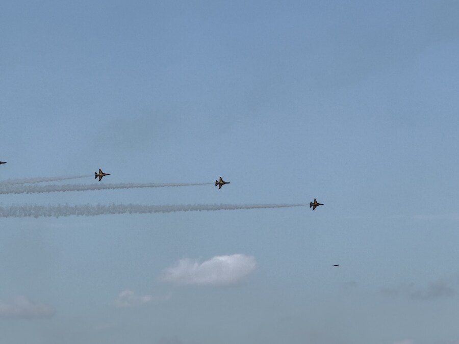 에어쇼) 블랙 이글즈 사진 올려봄_11.jpg