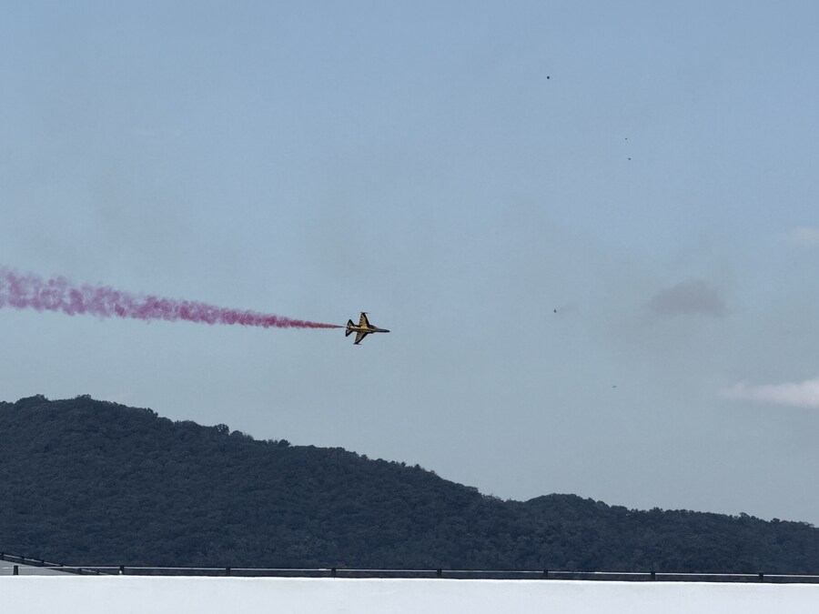 에어쇼) 블랙 이글즈 사진 올려봄_12.jpg