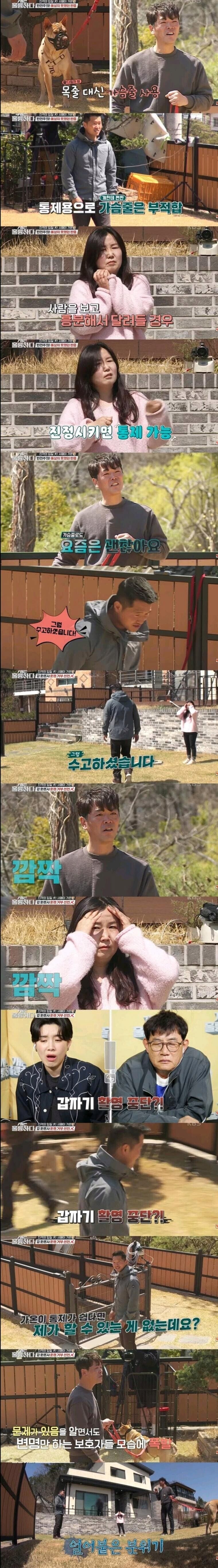 강형욱이 갑작스래 훈련을 포기한 이유.jpg_3.png