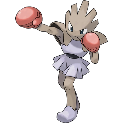 정보)포켓몬스터 1세대 격투타입 포켓몬 정리_2.webp