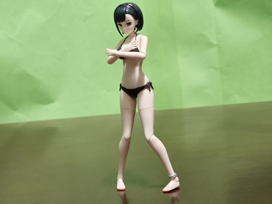 (KOTOBUKIYA) 창채소녀정원 요미 [블랙 캔버스]_254.jpg