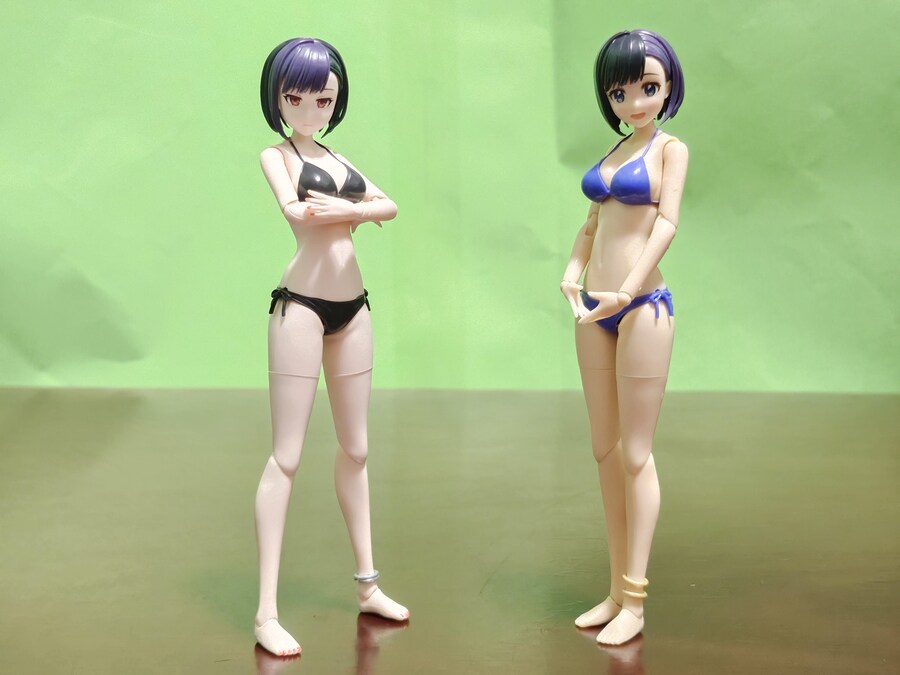 (KOTOBUKIYA) 창채소녀정원 요미 [블랙 캔버스]_314.jpg