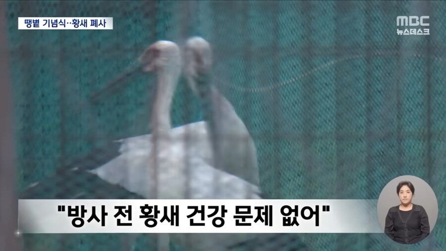 기념식 때문에 천연기념물 황새 폐사 시켜버린 김해시 레전드 ㅋㅋㅋㅋ_6.jpg